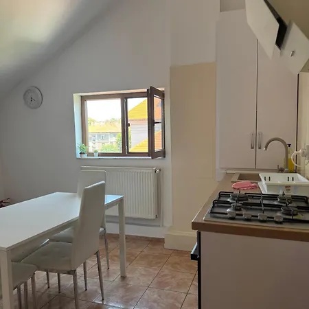 Central Apartment Apartment Constanta